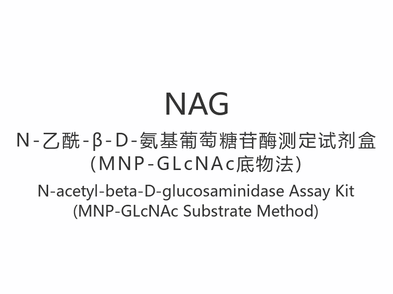 کیت سنجش 【NAG】 N-استیل-بتا-D-گلوکوزامینیداز (روش بستر MNP-GLcNAc)