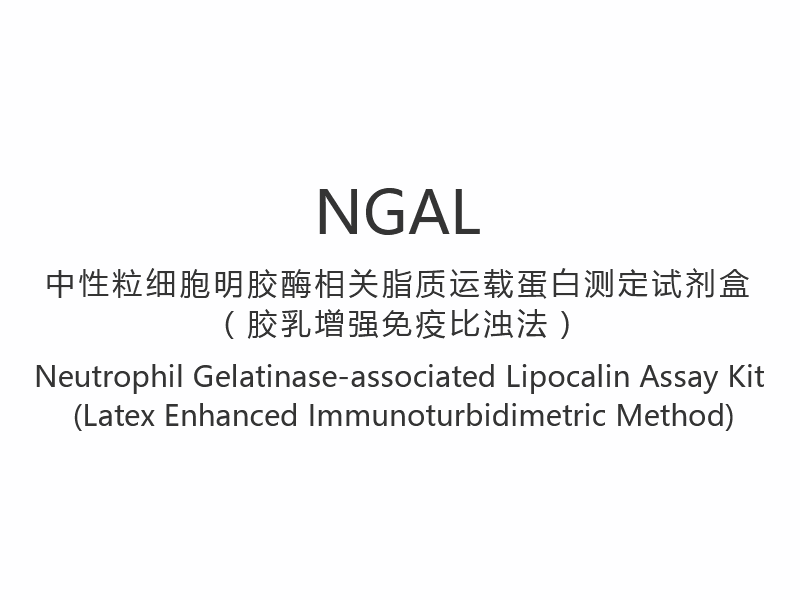 کیت سنجش لیپوکالین مرتبط با نوتروفیل ژلاتیناز NGAL (روش ایمونوتوربیدیمتریک تقویت شده با لاتکس)